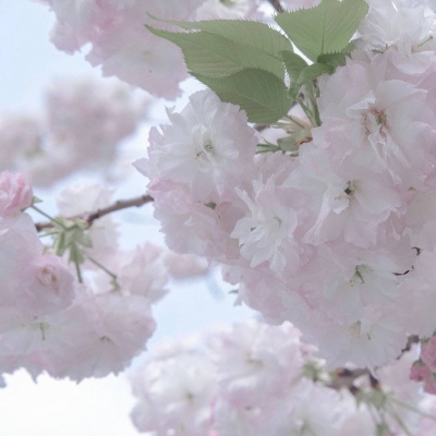 兽设雨夜场景绘制福瑞交流群